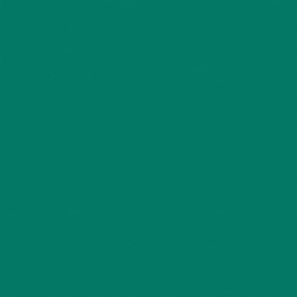 Спортивные покрытия «Omnisports Action 65» Forest Green Спортивные покрытия «Omnisports Action 65» Forest Green