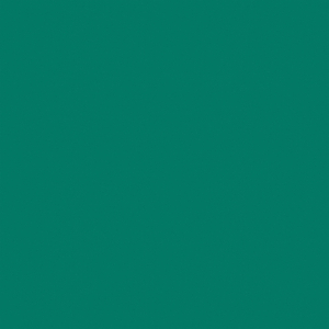 Спортивные покрытия «Omnisports Action 65» Forest Green Спортивные покрытия «Omnisports Action 65» Forest Green